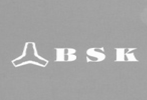 Partner 31